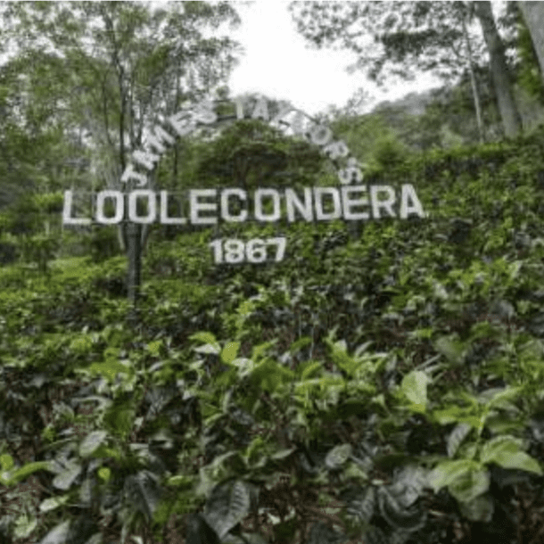 Loolecondera sign Kandy Sri Lanka
