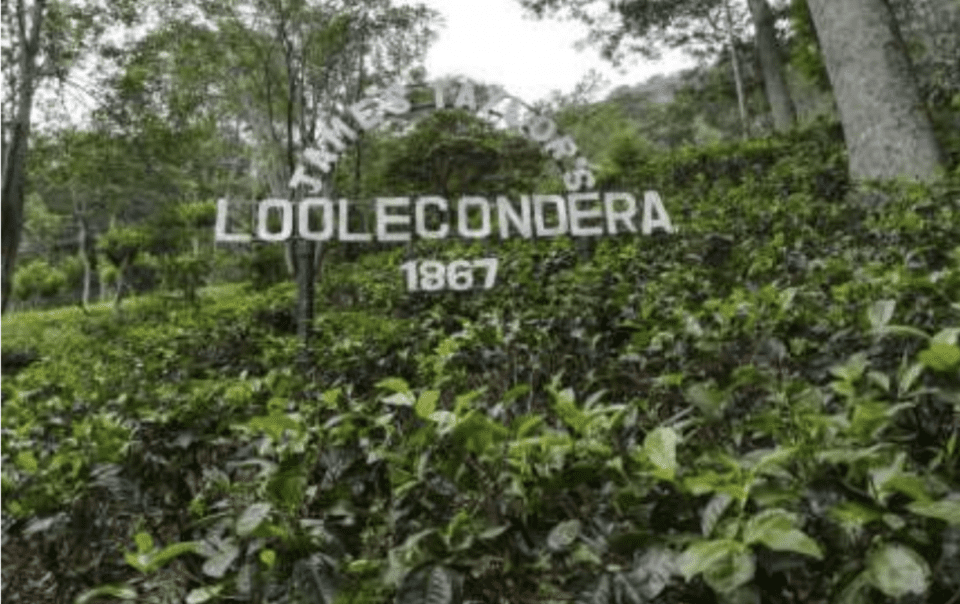 Loolecondera sign Kandy Sri Lanka
