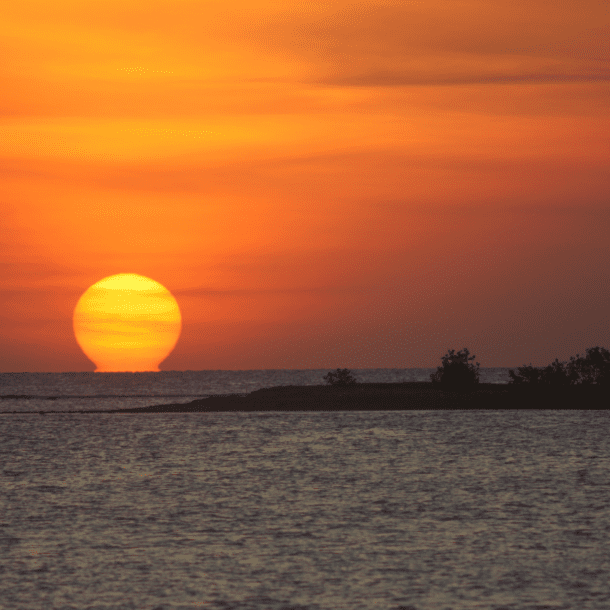 Jungle Tide photo of east coast sunrise