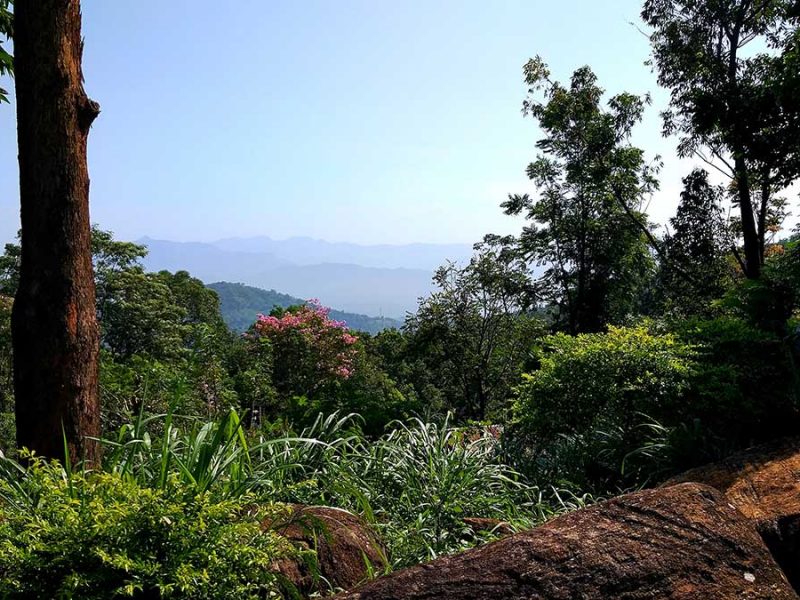 view from the top lawn across to the knuckles ranges from Jungle tide Sri Lanka Accommodation